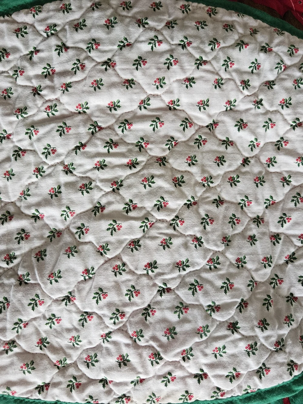 Festive Carousel Horse Holiday Placemats Red & Green Set Of 6 Christmas Festive